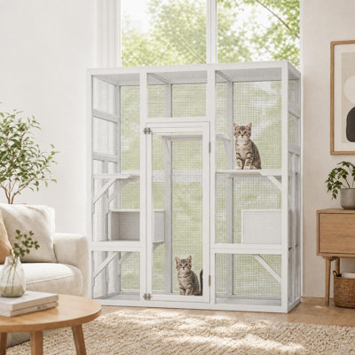Cat House