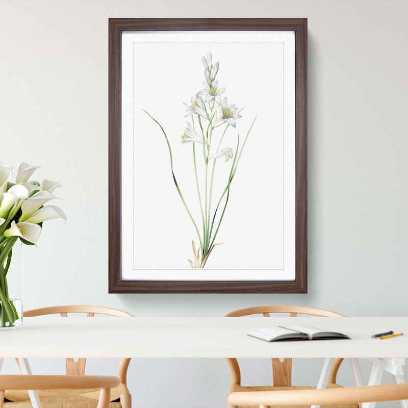 Paradise Lily by Pierre-Joseph Redoute - Picture Frame Painting Print, 65cm H x 48cm W x 2cm D, Walnut Framed
