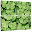 Harnek Patch Of Shamrock-109119172