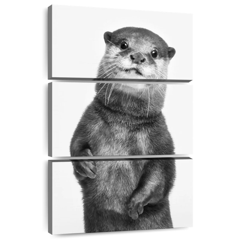 Loutre Brampt