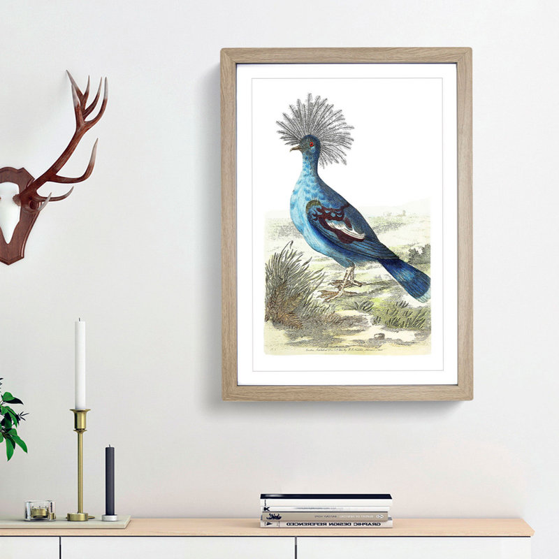 Crowned Pigeon by George Shaw - Picture Frame Painting Print, Oak Framed, 48cm H x 36cm W x 2cm D
