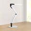 Desk Lamp-6813645