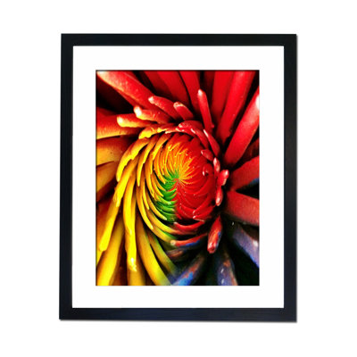 Single Picture Frame Print