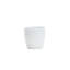 Live White Butterfly Plant in Classic Pot-49662073-114976336