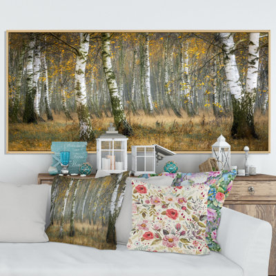 Forêt de bouleaux d'automne - Photographie sur toile