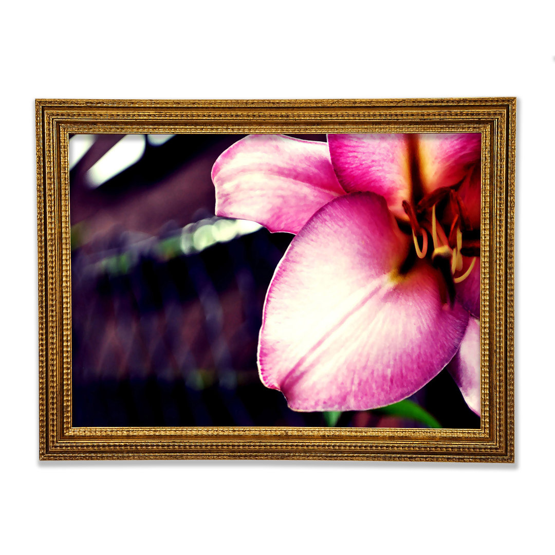 Close Up Of A Pink Petal - Einzelner Bilderrahmen Kunstdrucke