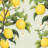 Flowery Lemons White Flowers Bedroom – Polyester Shower Curtain, Dye Sublimation Print, 71" W × 74" L-1830924739