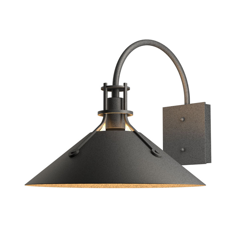 Luminaire de grange d'extérieur à 1 ampoule Henry, Fer naturel côtier, H 12,8 po x l 14,4 po x P 16,7 po