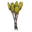 Vickerman 14" Repens on a Natural Stem. Includes 6 Stems per Bunch, Dried-1478476198