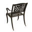 Casiano Outdoor Dining Armchair-159855989