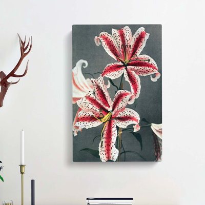 Pink Lily Flowers by Kazumasa Ogawa - Wrapped Canvas