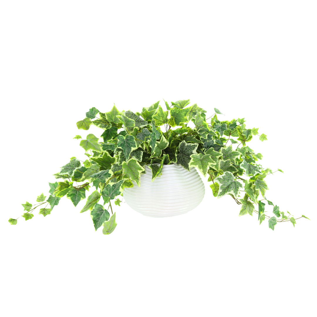 Jenner 13'' Faux Ivy Plant in Glass Vase Freeport Park®