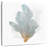 Brampt Light Delicate Coral II-109391564