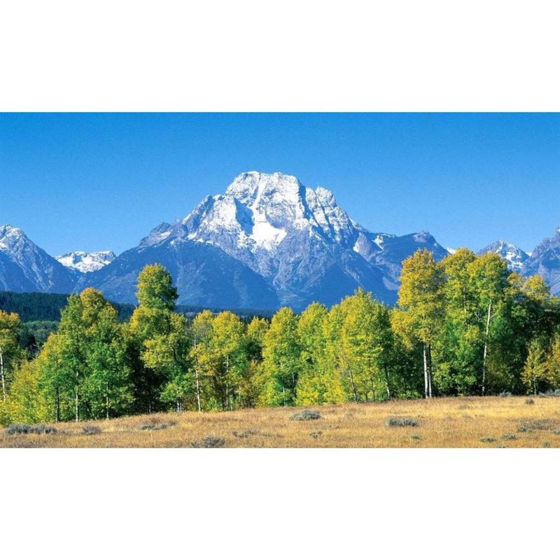 Landscape & Nature Non-Wall Damaging Window Decal