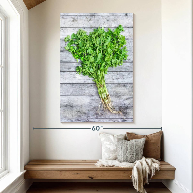 Harnek Cilantro, 51" H x 34" W