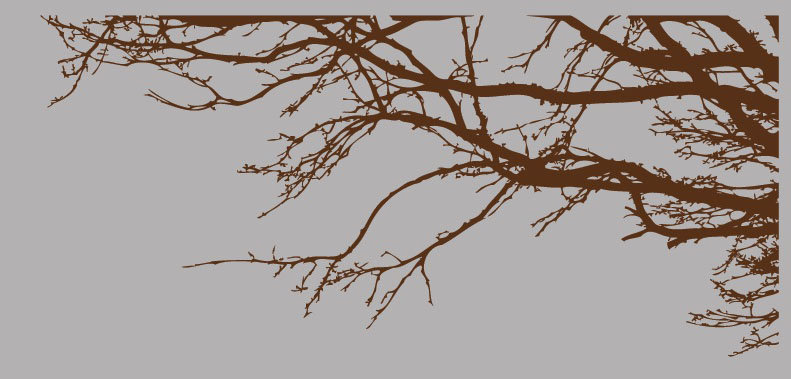 Adhésif décoratif branches avec oiseaux, Brun