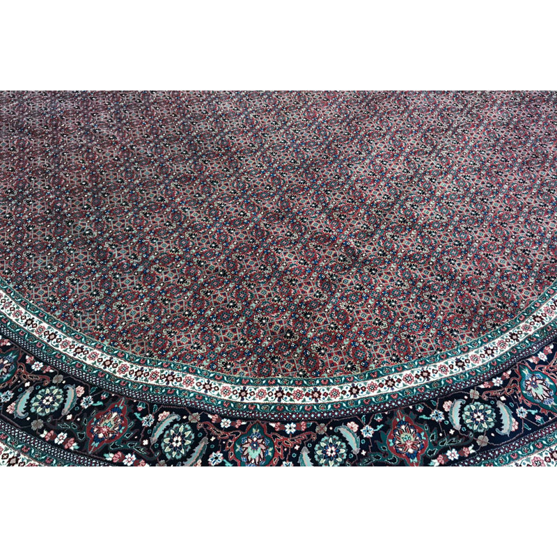 Wool Oriental Area Rug in Rust/Navy