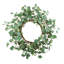 Couronne d'eucalyptus, vert