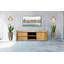 Ankney Solid Wood TV Stand