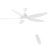Modern 60 In Intergrated Led Ceiling Fan Lighting With White Abs Blade-787864419-787864428