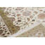 Oriental Area Rug in Ivory