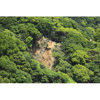 Mudslides by Gyro - Wrapped Canvas Print