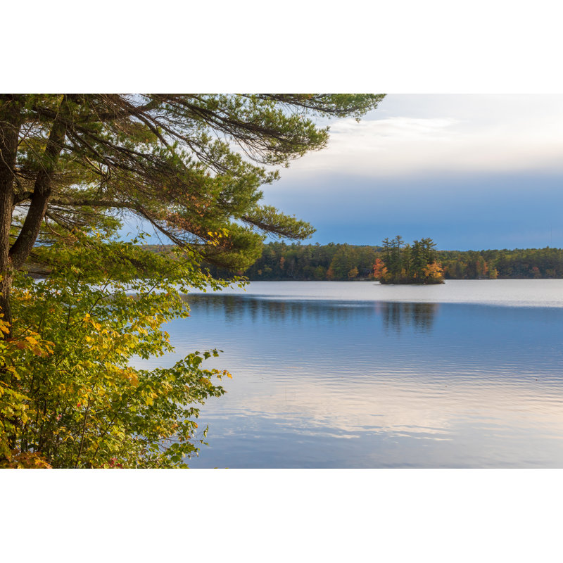 Lisman Early Evening On Pond by Jennifer Yakey Ault - Wrapped Canvas Print, 30cm H x 46cm W x 3.8cm D