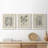 " Antique Black And White Botanical VII " 3 - Pieces-408395214-408395201