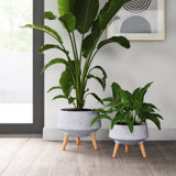 Annora Pot Planter