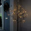 Holiday Lighting
