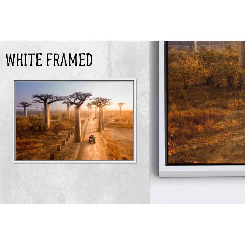 «Madagascar Baobab Tree Printed Canvas: Elegant Landscape Art, 1P WhiteFramedCanves», 27,6 po H x 39,4 po l