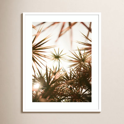 Daisey "Starlight Through Palms" Print