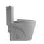 Toilette une pièce, chasse d'eau Tornado, double cuve allongée 1,1 / 1,6 GPF, siège à fermeture douce, siphonic S-Trap 12 po, hauteur ADA 17 po, gris clair-123166005