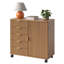 31.5cm Wide 5 -Drawer File Cabinet-83093222