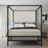 Canopy Bed – Metal Frame with Soft Headboard, Box Spring Required-1377697335-1377697329