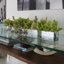 Centre de table orchidée Driftwood Cymbidium-898860772-898860794