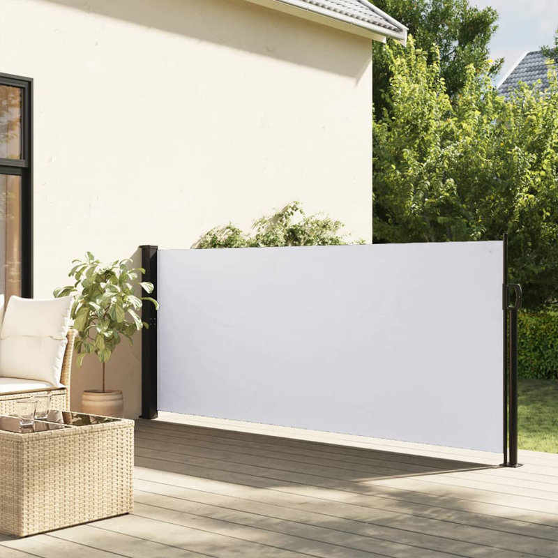 Auvent latéral rétractable Vidaxl, H 39,4 po x l 196,9 po, Anthracite