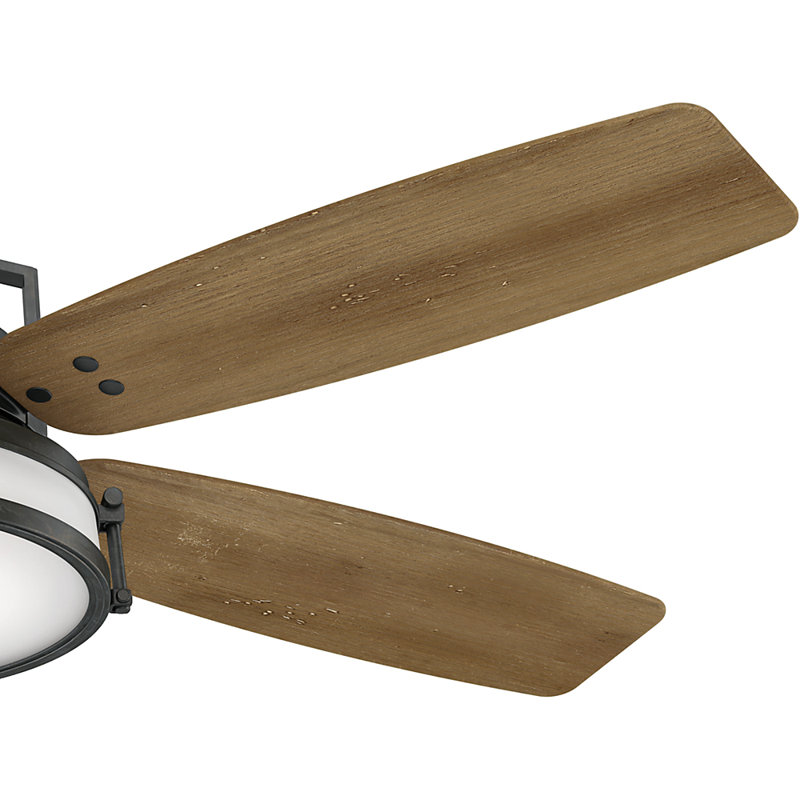 56" Caneel Bay 5 - Blade Standard Ceiling Fan with Wall Control and Light Kit Included