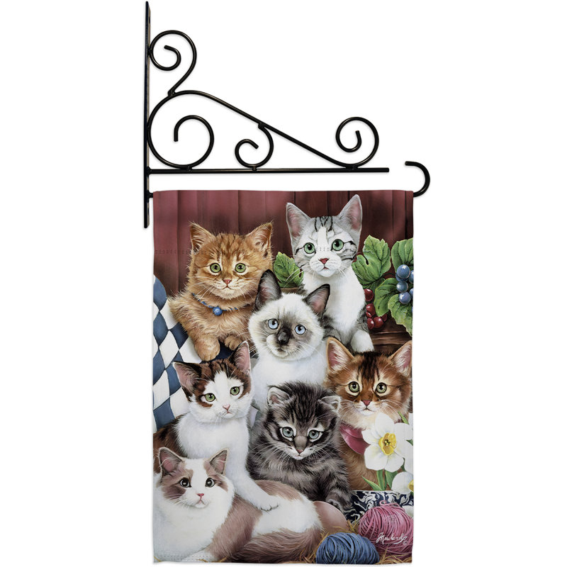 Chatons moelleux en polyester à 2 faces 19 x 13 po Ensemble de drapeaux