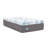 Sealy Dreamlife 14” Plush Foam Mattress-in-a-Box-99281168