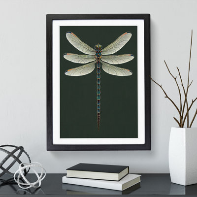 Symmetrical Dragonfly - Single Picture Frame Print