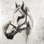 Flicka le cheval blanc, toile de ferme