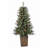 Potted 4' Pre-Lit Pine Christmas Tree