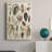 Seashell Display " Seashell Display "-37453445