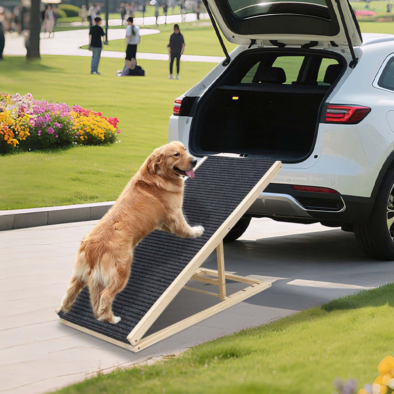 Rampe pour chien pour lit, très large avec surface en caoutchouc antidérapante - pliable, réglable