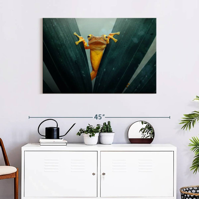 Brampt Yellow Frog, 24" H x 36" W