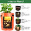 Deago Grow Bag