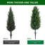 Plant-15967654-15967672