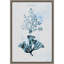 "Blue Bay 8" par Deborah Revell, reproduction d'art sur toile encadrée-567363855