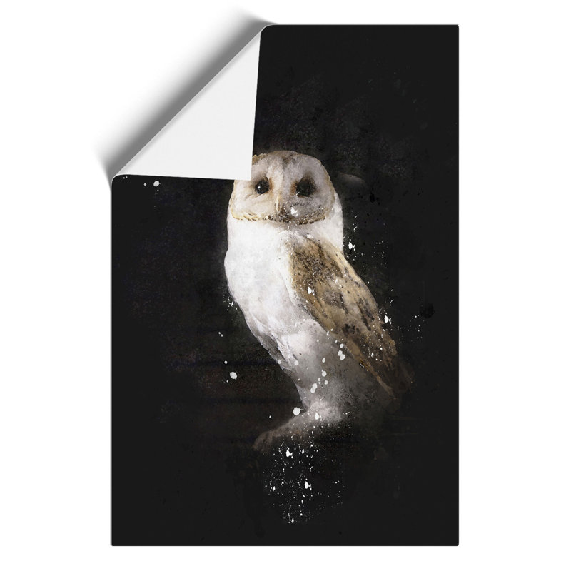 Barn Owl Paint Splash - Frameless Print, 30cm H x 21cm W x 0.1cm D